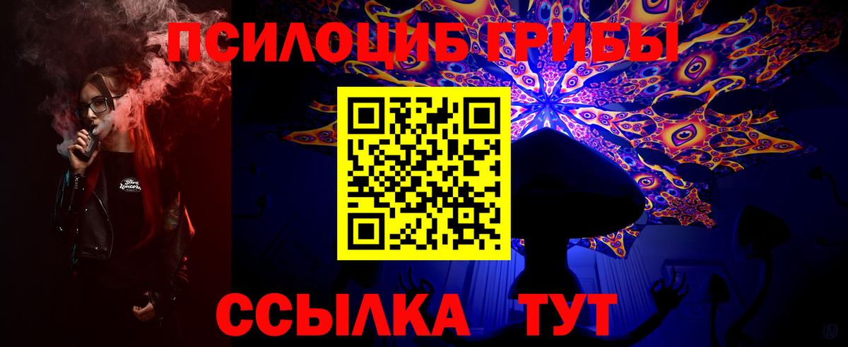 Псилоцибиновые грибы мицелий Вышний Волочёк