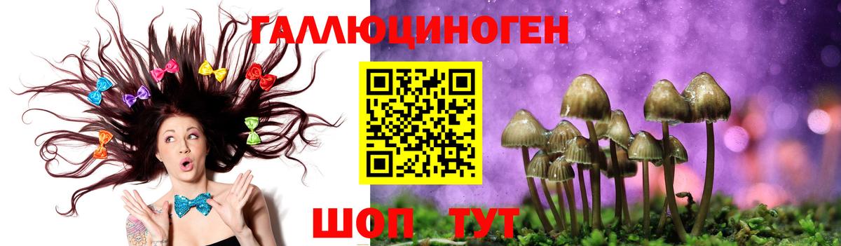 Галлюциногенные грибы MAGIC MUSHROOMS  Псилоцибиновые грибы Psilocybe  Вышний Волочёк  Вход с VPN 